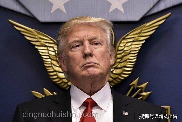 特朗普与马斯克：从盟友到对手的对比分析